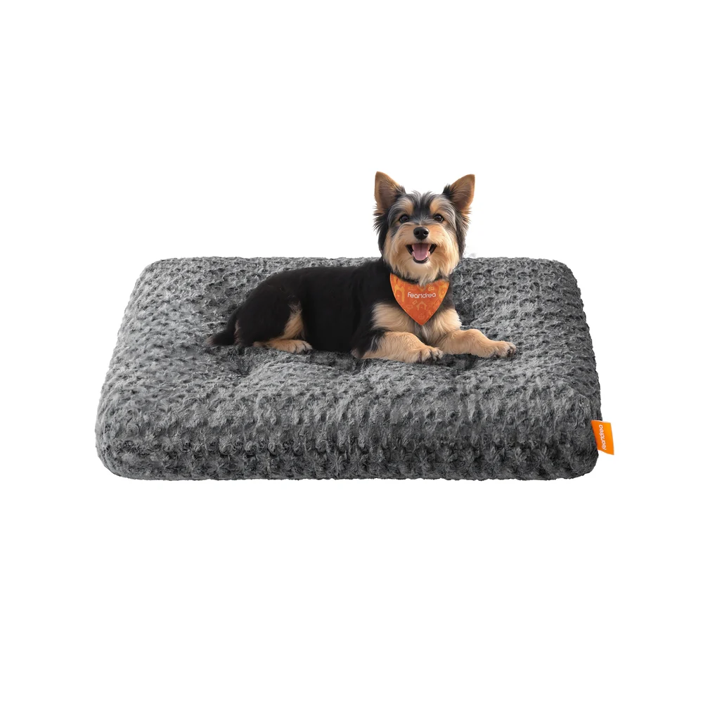 Cuccia per cani di piccola taglia