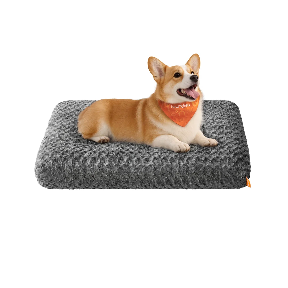 Cuccia per cani di piccola taglia - Image 2