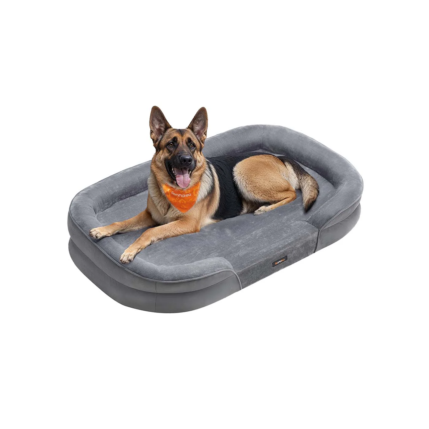 Cuccia per Cani di Taglia Grande - Image 4