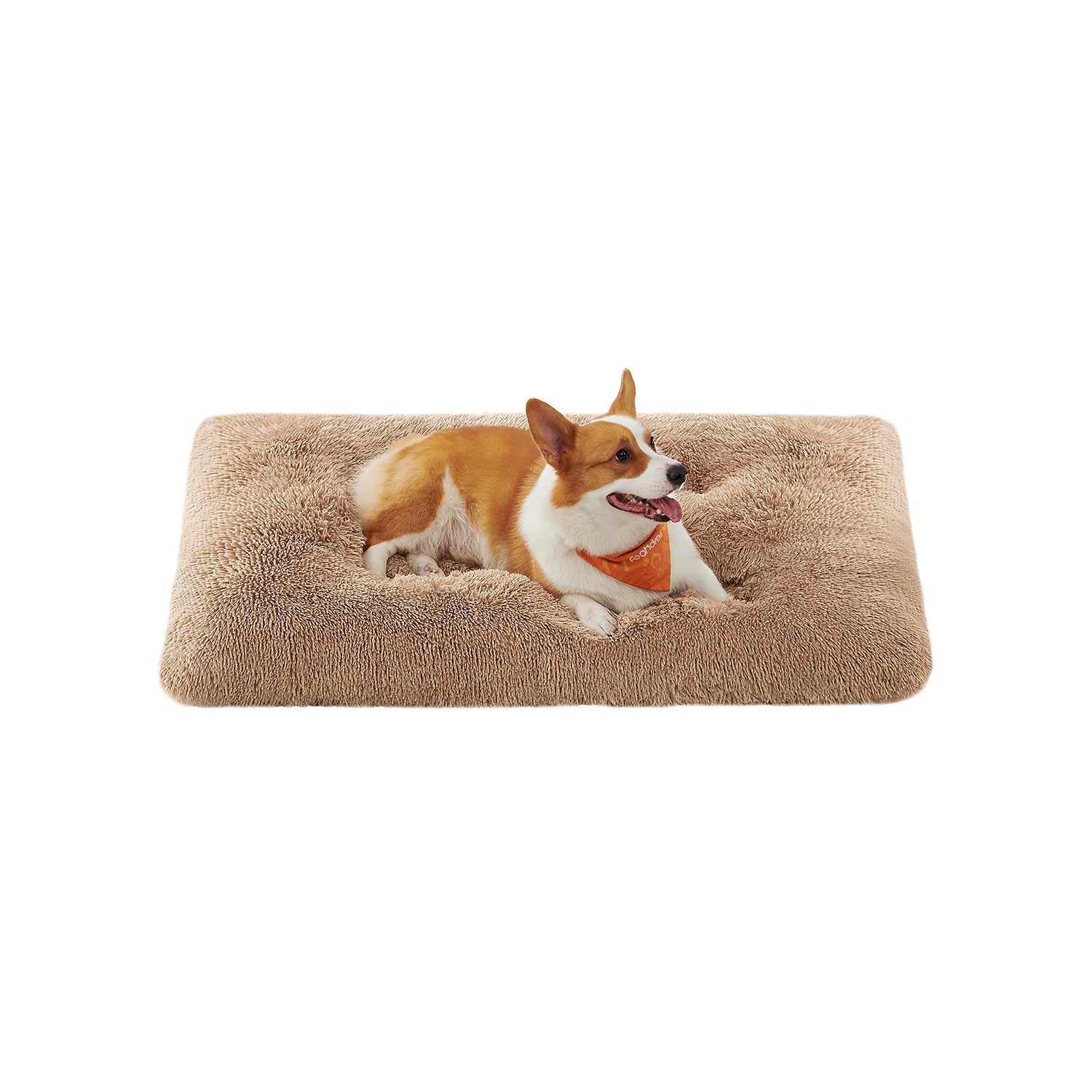 Cuccia per Cani di Peluche Morbida - Image 6