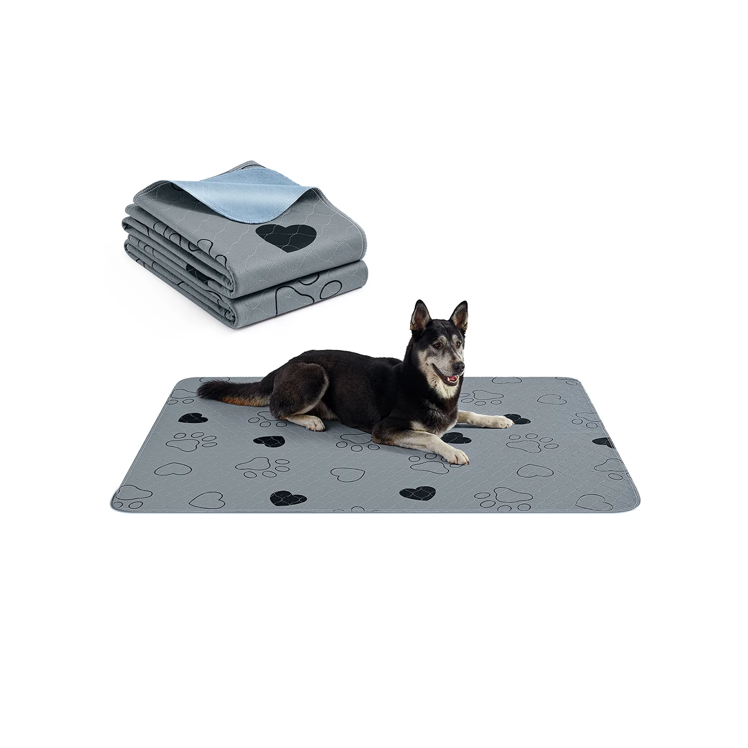 Tappeti Lavabili per Cani