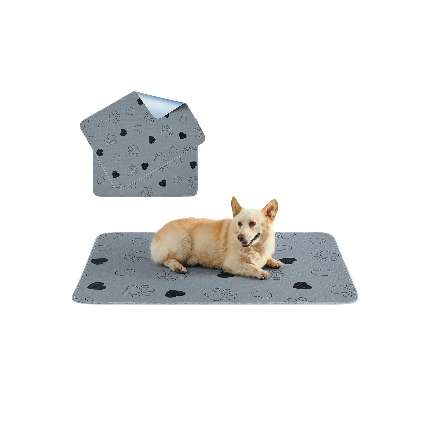 Tappeti Lavabili per Cani - Image 2