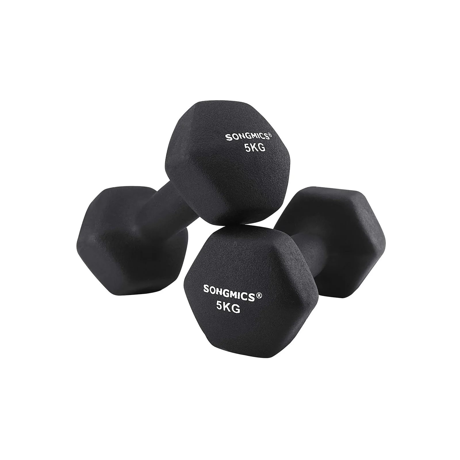 Set di 2 Manubri Esercizio a Casa e in Palestra