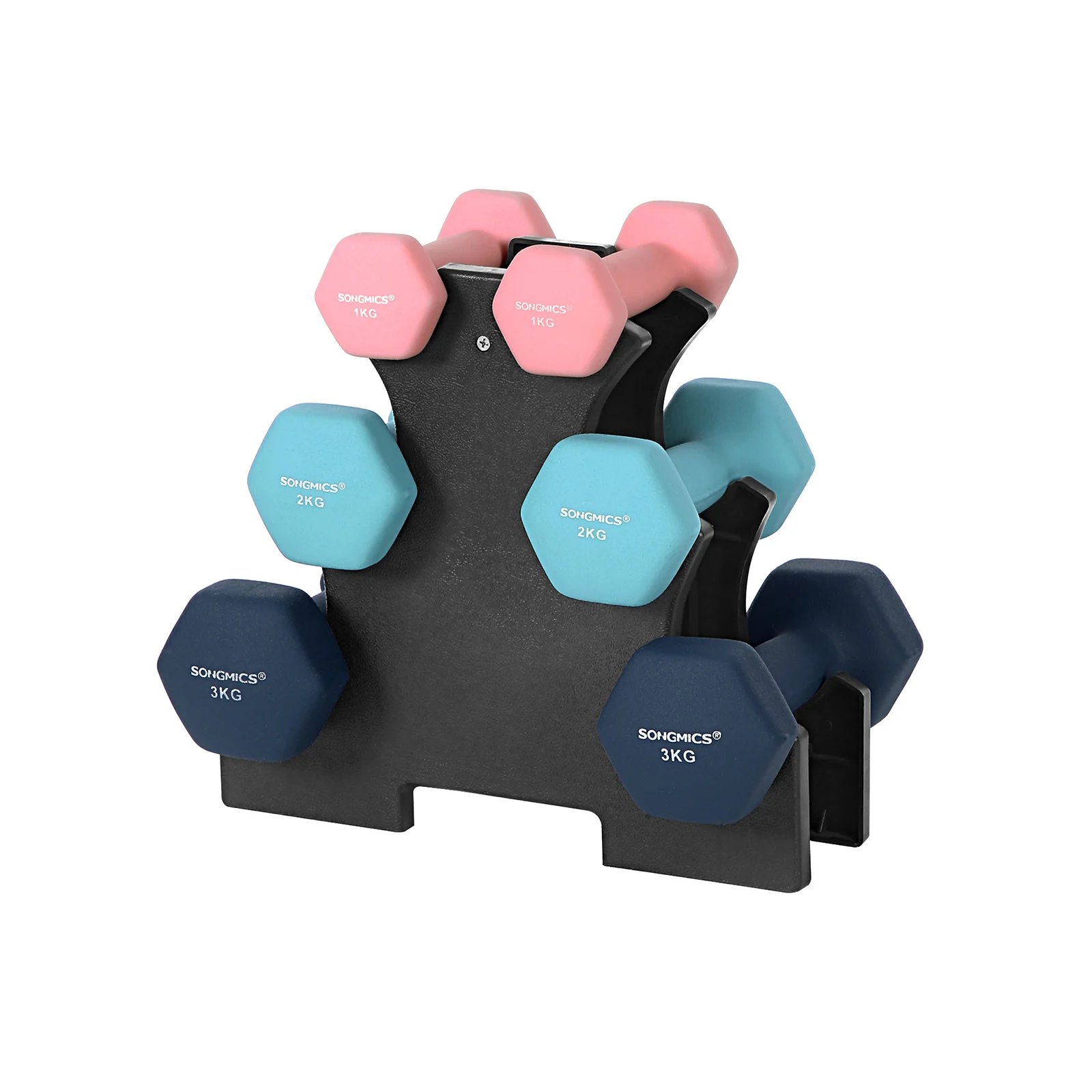 Set di Manubri con Supporto - Image 3